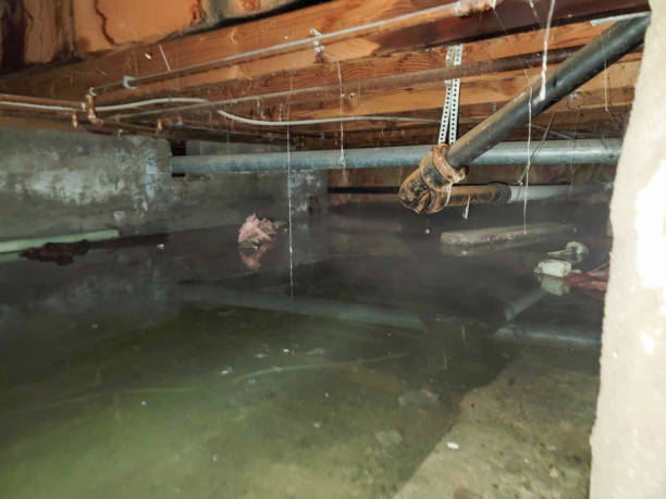 Carpet water damage restoration in Moraga, CA