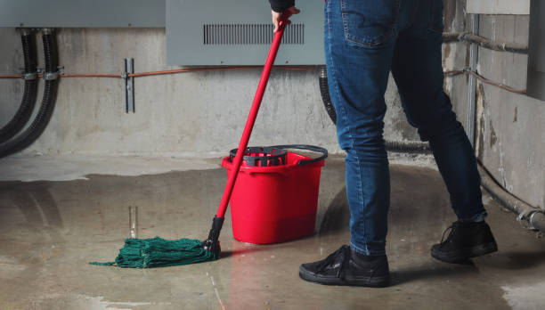 Best Carpet water damage restoration  in Moraga, CA