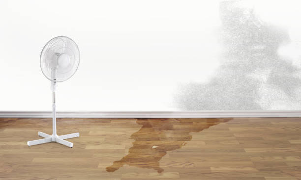 Best Emergency water damage restoration  in Moraga, CA