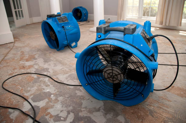 Best Ceiling water damage repair  in Moraga, CA