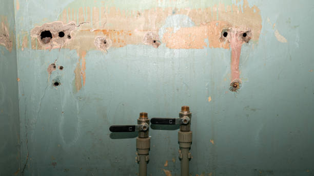 Best Residential water damage restoration  in Moraga, CA