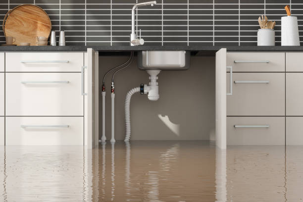 Best Flood damage cleanup  in Moraga, CA